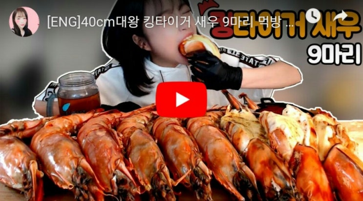  40cm대왕 킹타이거 새우 9마리 먹방