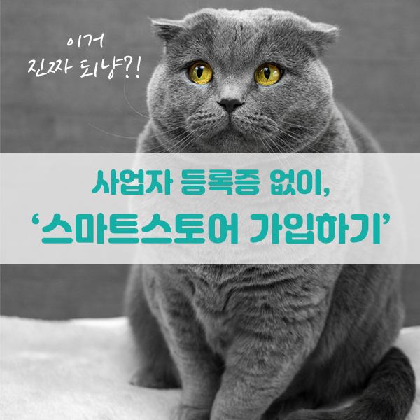  사업자등록증 없이 '스마트스토어' 가입하기:)