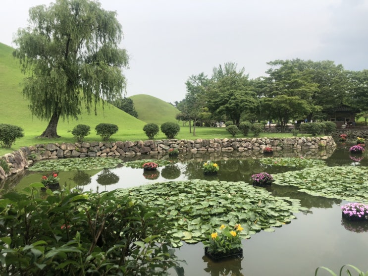 [경주여행]경주 첨성대/대릉원/천마총/황남대총