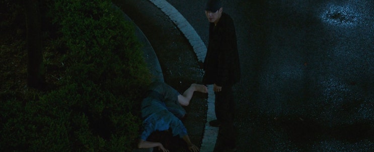  [영화비추]목격자( The Witness, 2017)