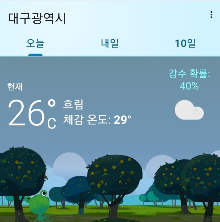  [루비셀후기]루비셀 컷밸런스 루비셀렐라의 솔직한 후기입니다