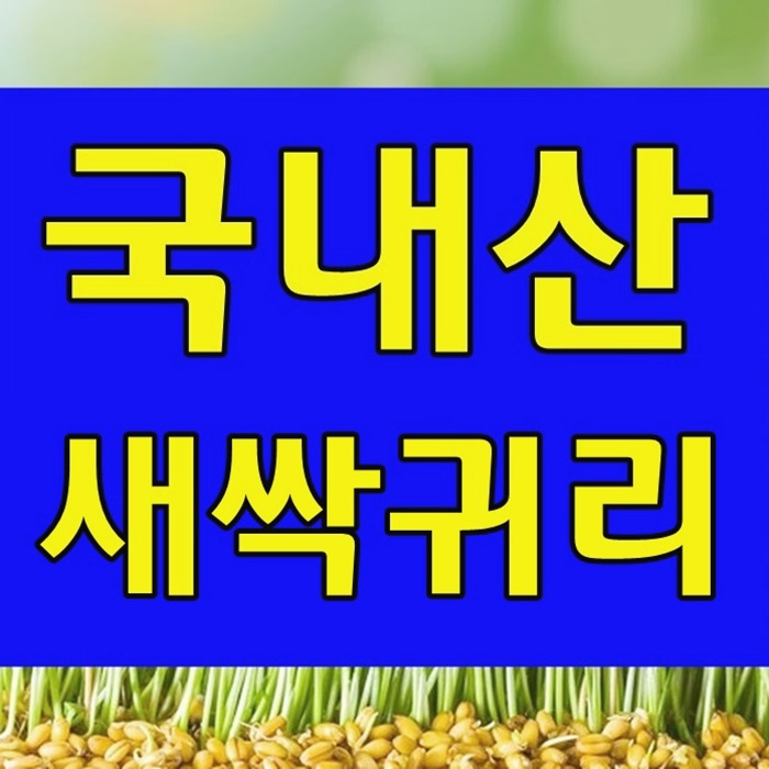  새싹귀리 효능과 분말 파는곳의 귀리가루 먹는법 안내