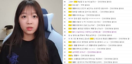  “술·담배 했지만 학폭 피해자는 나였다” BJ 쯔양 해명 후 인방갤 상황