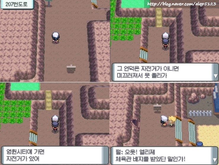 포켓몬스터 디아루가 꽃향기마을