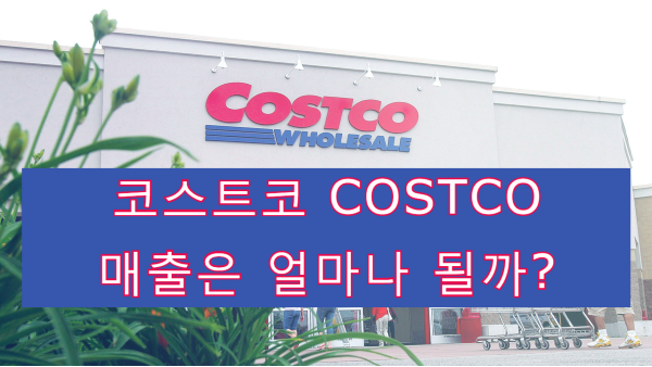 COSTCO 코스트코 자주 가지만 모르고 있는것