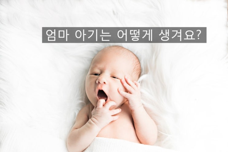  호기심 천국!!  4학년 아들 성교육도 슬슬 시작?