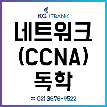 네트워크 기초 용어, 꼭 알아야 하는 CCNA 총정리!