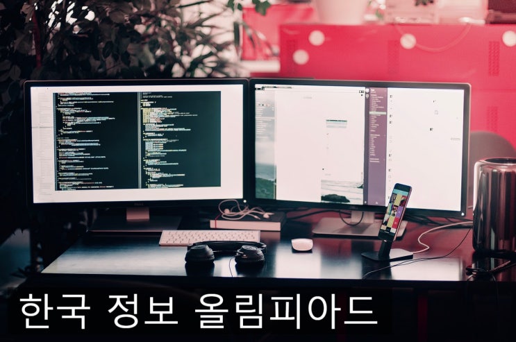  국내 컴퓨터 프로그래밍 대회 참여 및 준비하기[2]