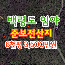  백령도 임야 토지매매 / 연화리 (임) 20,100 / 도로접,완경사,준보전산지