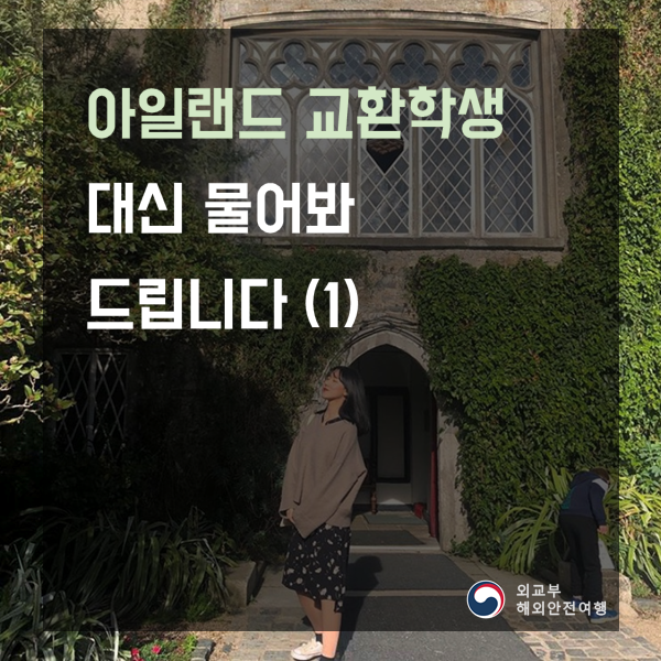  아일랜드 교환학생 - 대신 물어봐 드립니다.