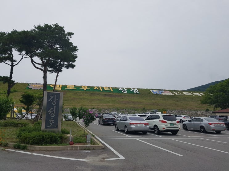  장성 가볼만한곳 장성호 수변길 옐로우출렁다리
