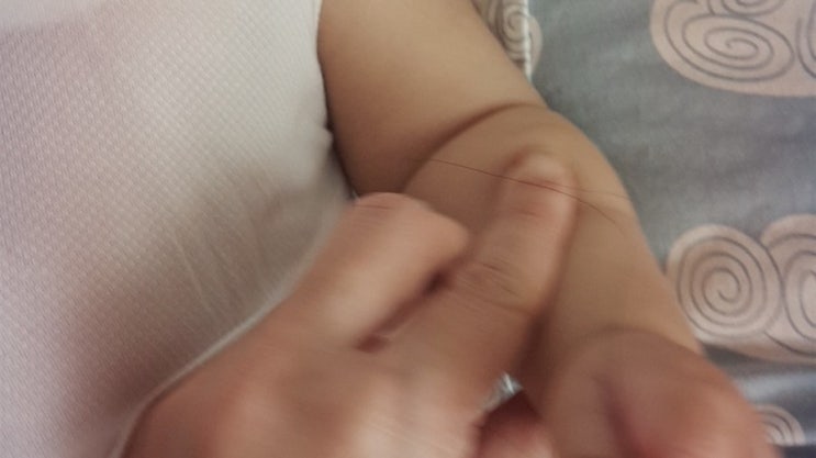  엄마 머리카락 쥐어뜯는 하랑이