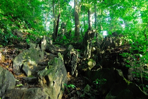 베트남의 국립 공원과 자연보존 지역들(2)