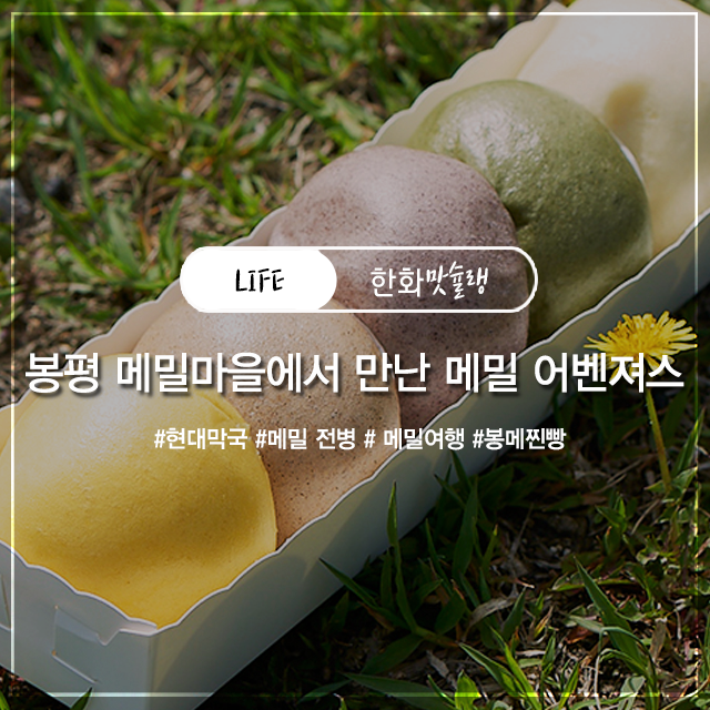  메밀 3대 진미를 모았다! 봉평 메밀 마을에서 만난 메밀 어벤져스