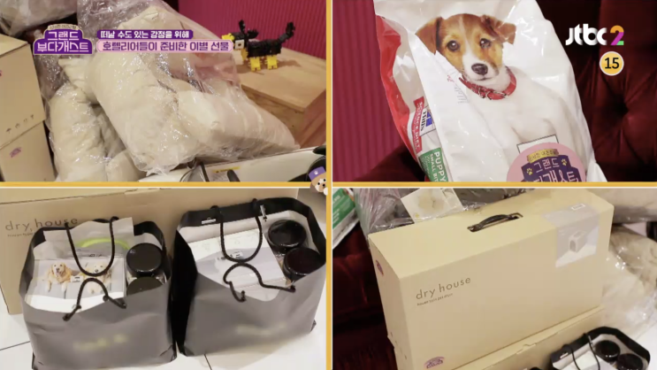  여름철 애완동물 털말리기 간편하게 펫드라이룸 두잇 드라이하우스 펫드라이어