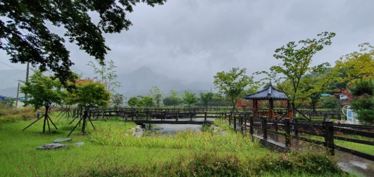  "2019년 태풍과 함께 떠난 캠핑여행5살, 6살, 7살, 8살과 산청 1박2일"
