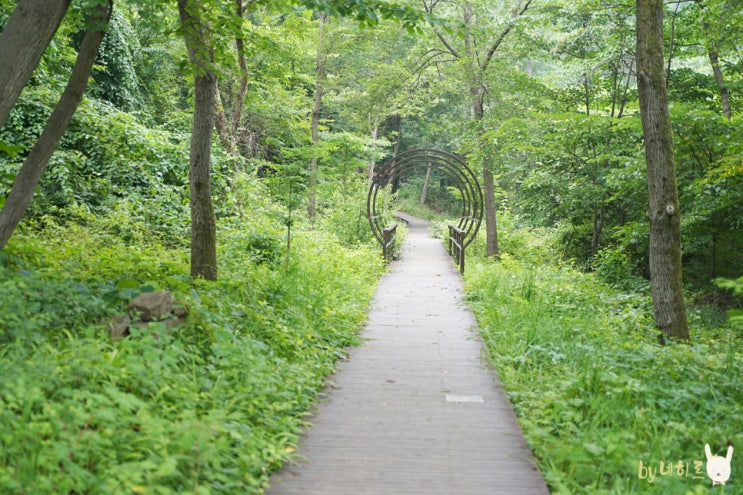 유명산 자연휴양림 나들이, 계곡 당일치기도 괜찮아