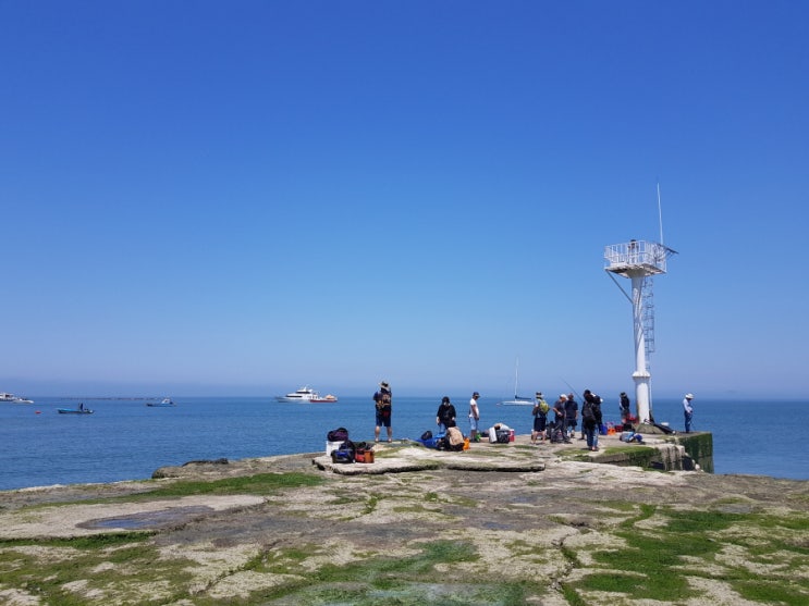  경기도 섬 여행 입파도 해루질 1박2일