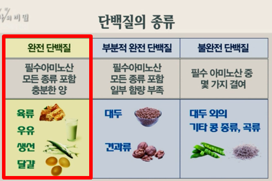 만성 신부전(신장병)이란?