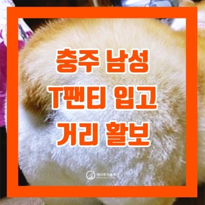  [자투리 뉴스] 충주 T팬티 입고 거리 활보