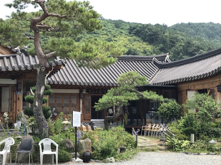  [맛집공유] 창원 덕동 삼계탕 맛집 백제13월