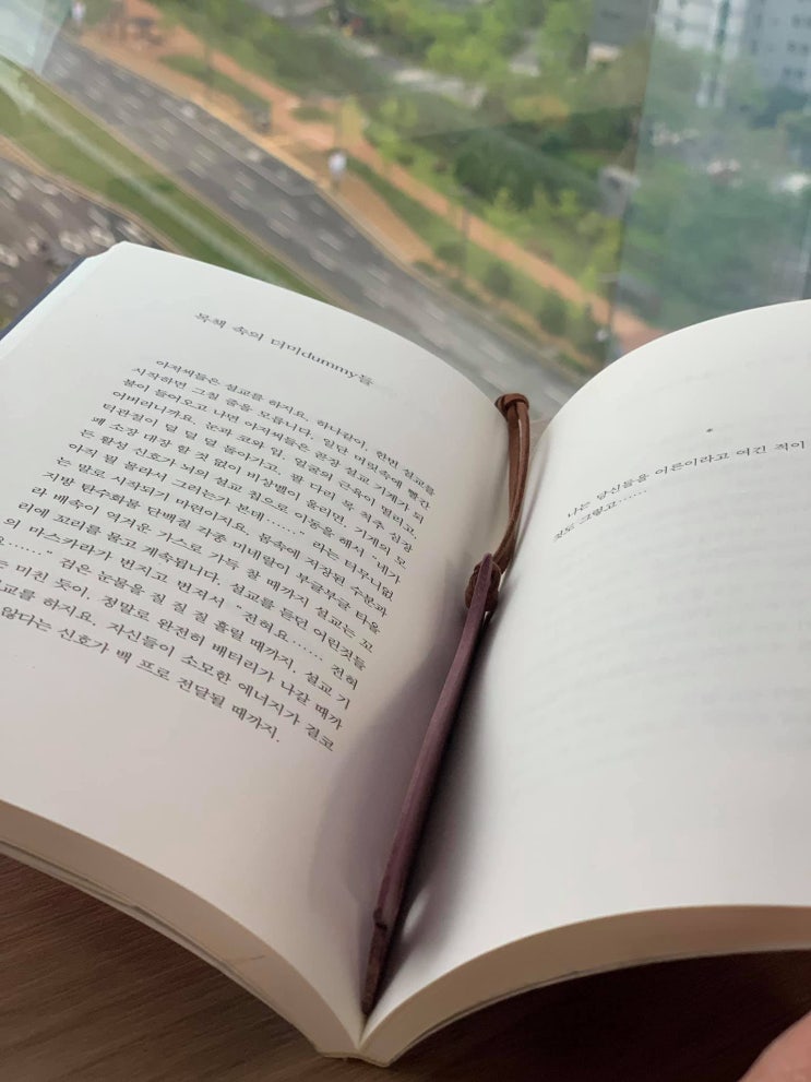  목책 속의 더미들, 황병승 시인의 명복을 빌며...