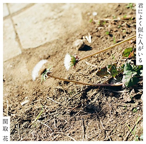  関取花 - もしも僕に (하나 세키토리 - 만약 나에게) / 가사 해석