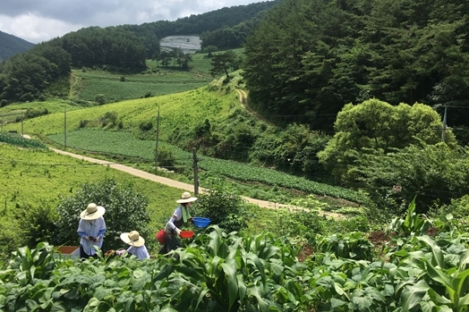 '삼시세끼' 촬영지 산촌편 공개 '삼시세끼' 촬영지 산촌편 공개