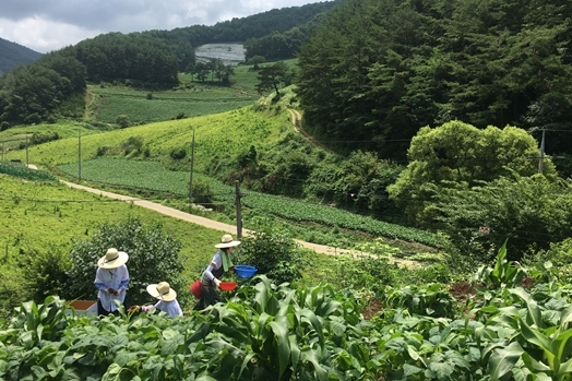 '삼시세끼' 촬영지 산촌편 공개