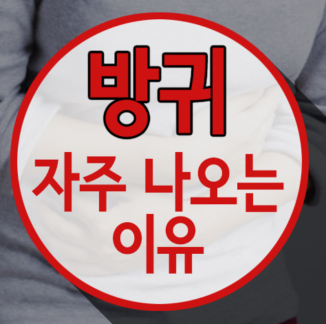  방귀가자주나오는이유 알아보고 부아메라 챙겨 먹읍시다! 