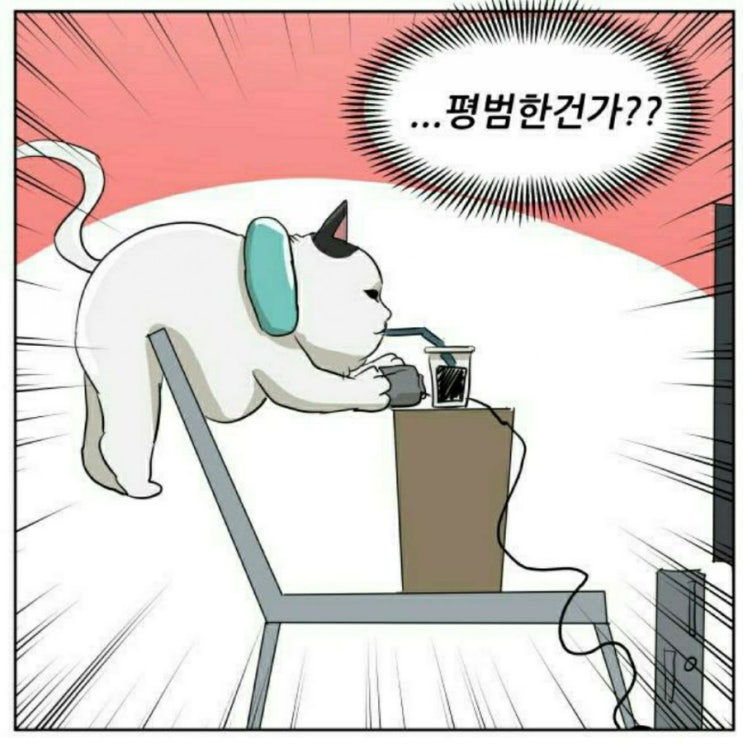  사람들의 관전의 차이점 관련