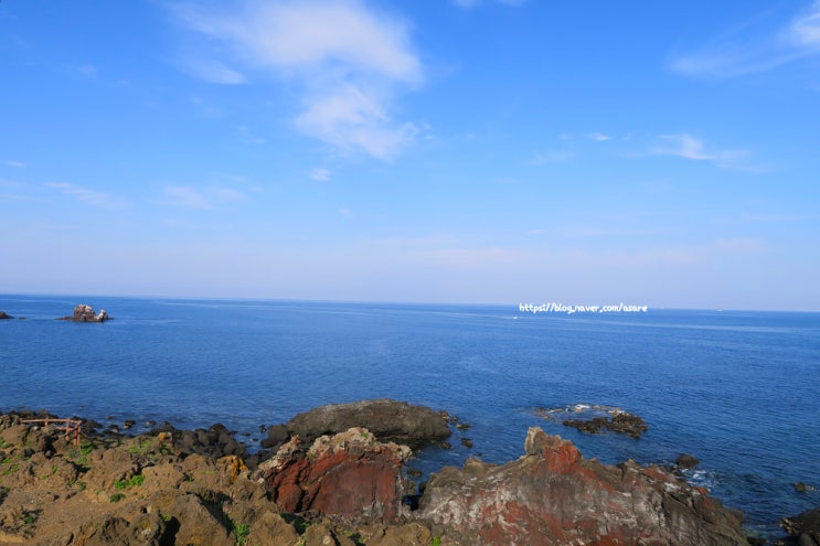  제주도 - 제주 이색 건축물 섭지코지 글라스하우스