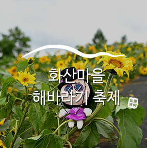  [화산마을 해바라기축제] 화산마을의 특별한 해바라기잔치 한마당 :: 경북여행, 경북축제, 경북가볼만한곳, 군위여행, 가족여행, 여름여행