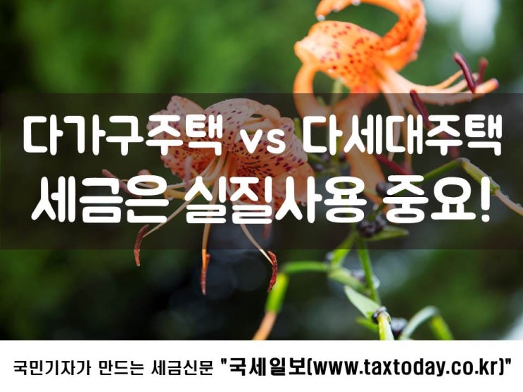  다가구주택 vs 다세대주택, 세금은 실질사용 중요!