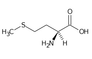  Methionine 메티오닌 근거등급