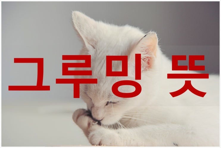  그루밍 뜻