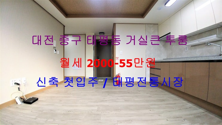  (대전 중구 태평동) 태평전통시장 바로 앞에 있는 신축 첫입주 ! 거실큰 투룸 월세 매물입니다 ^^