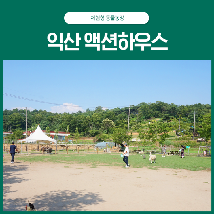  체험형 동물농장! 익산액션하우스를 가다.