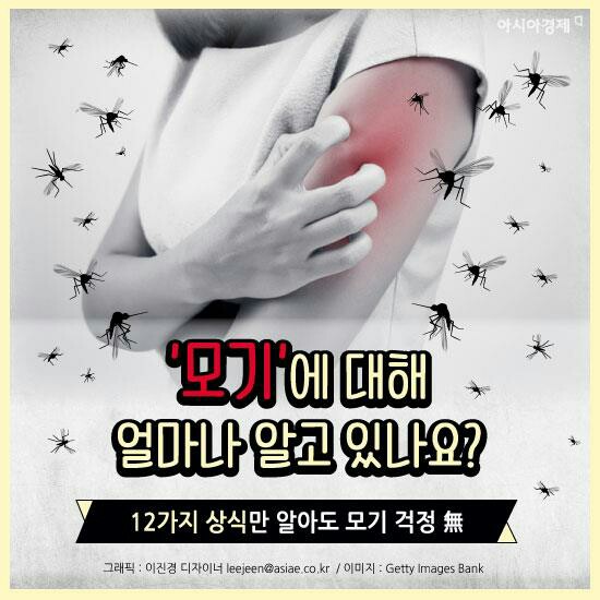  모기에 대한 12가지 상식과 가려움 해결법