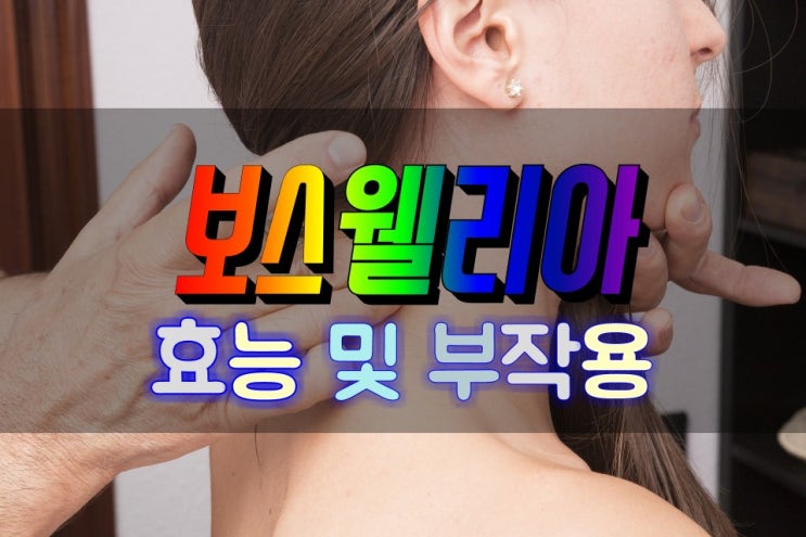  관절건강 특효 보스웰리아 효능 및 부작용 살펴보기