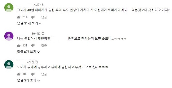  '보람튜브' 향한 시샘 혹은 한탄…"40년 일한 우리 부모님이 라면 한 그릇 보다"