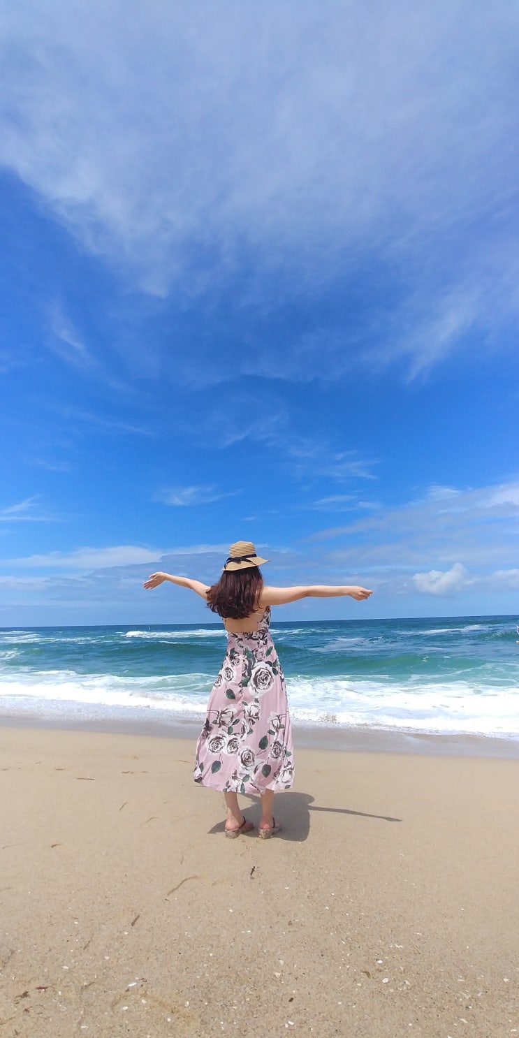  2019 전국 해수욕장 개장 정보 (주소,일정,날짜,축제,연락처 공유)