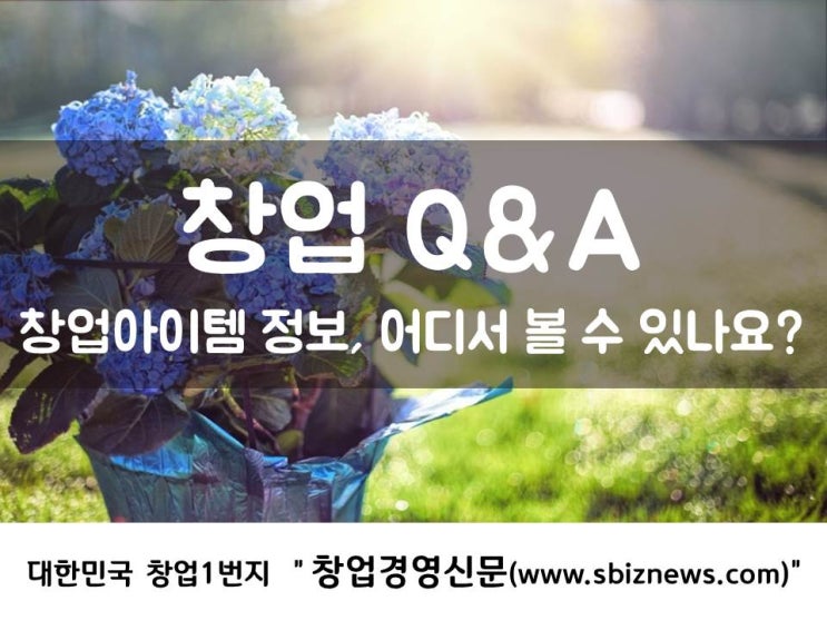  창업 Q&A, 창업아이템 정보, 어디서 볼 수 있나요?