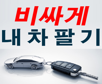  중고차매입가격 마무리 까지 확실한 법인 기업!