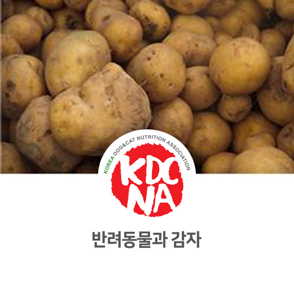  [강아지 고양이 영양 정보] 반려동물 그레인프리 사료의 주재료 감자 알아보기_107