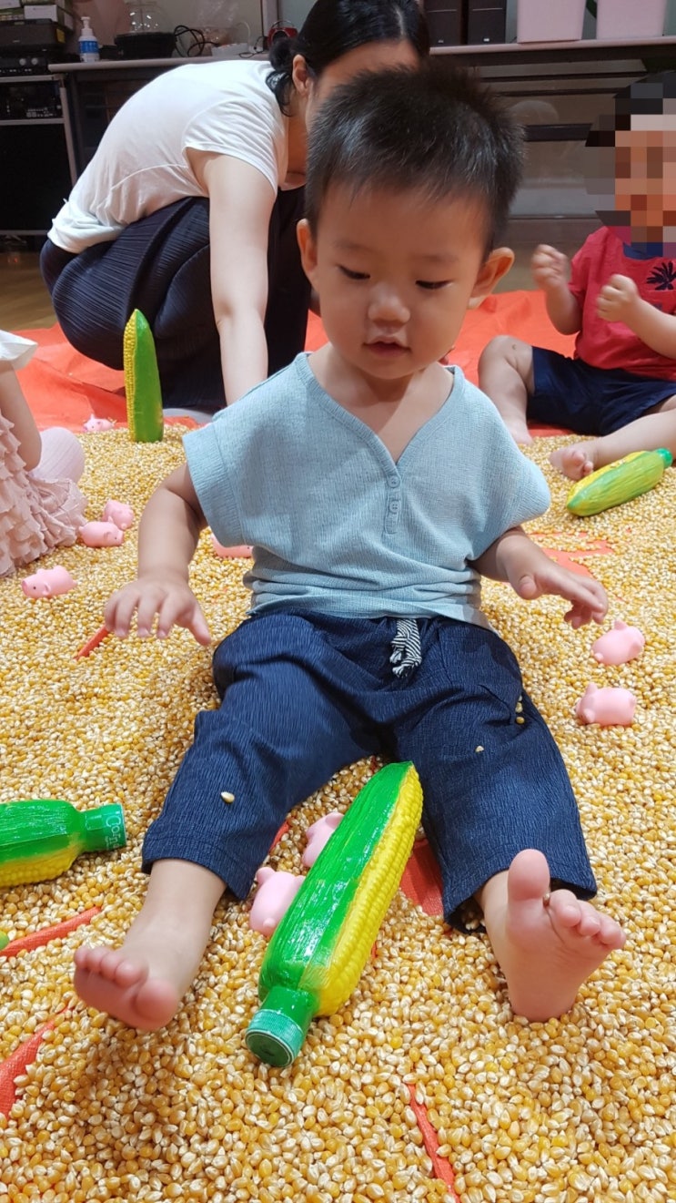  [D+693] 뮤직아이 팝콘, 낮잠 재끼라웃!