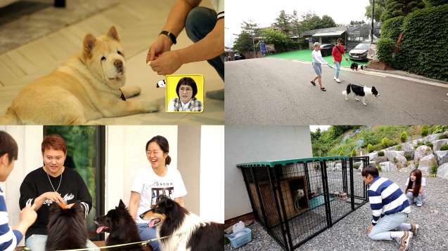 오래봐도예쁘다 치타 아파트 곽동연 짱절미 고양이 집사 승희 박재정 김민교 곤지암 집 촬영장소 1회 오래봐도예쁘다 크림이 이영진 반려견 항암치료 이연복 연희동 집 7월 25일 방송 오래봐도예쁘다 치타 아파트 곽동연 짱절미 고양이 집사 승희 박재정 김민교 곤지암 집 촬영장소 1회 오래봐도예쁘다 크림이 이영진 반려견 항암치료 이연복 연희동 집 7월 25일 방송