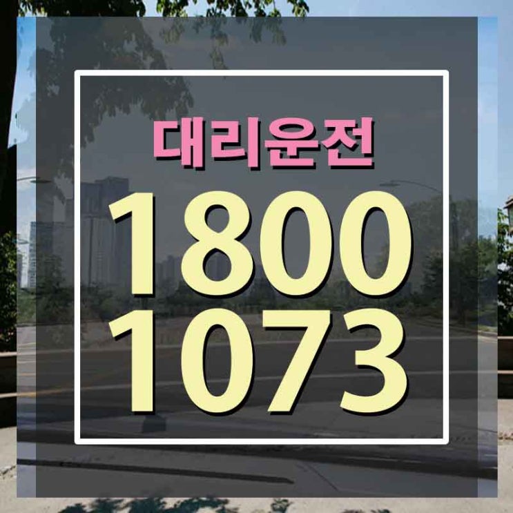  여성대리기사 초이스 좋았어요!