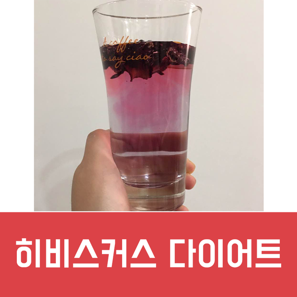  차 다이어트, 히비스커스로 도전!
