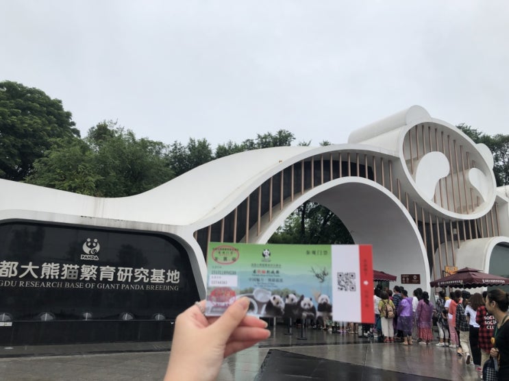  [청두成都]- 2박 3일 청뚜여행(0614~0616) / day2 팬더기지 춘시루 IFS몰 타이구리 금리 구안교 안순랑교